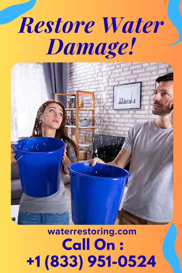 water restoration Expert Extraction Specialists Barrackville