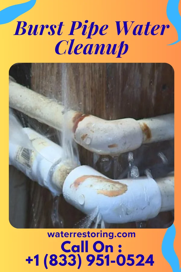 Burst Pipe Water Cleanup in Barrackville, WV