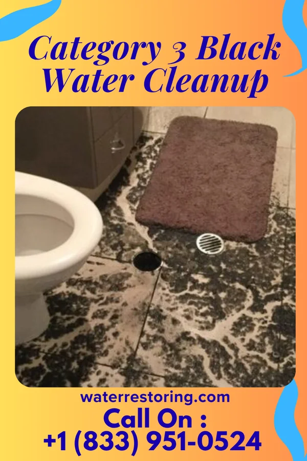 Category 3 Black Water Cleanup in Barrackville, WV