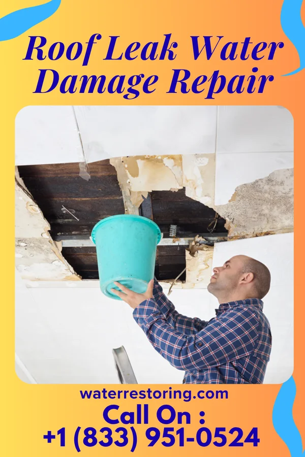Roof Leak Water Damage Repair in Barrackville, WV