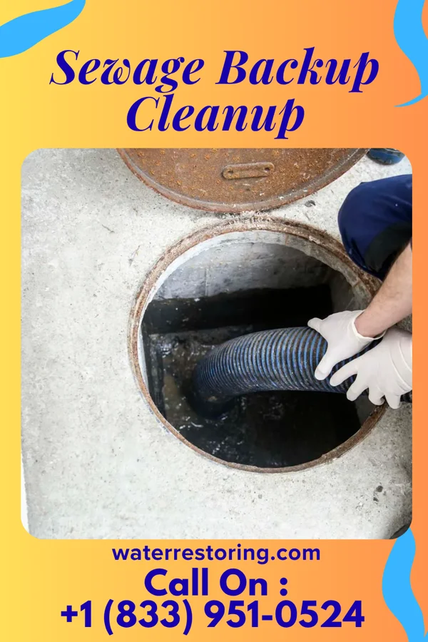 Sewage Backup Cleanup in Barrackville, WV