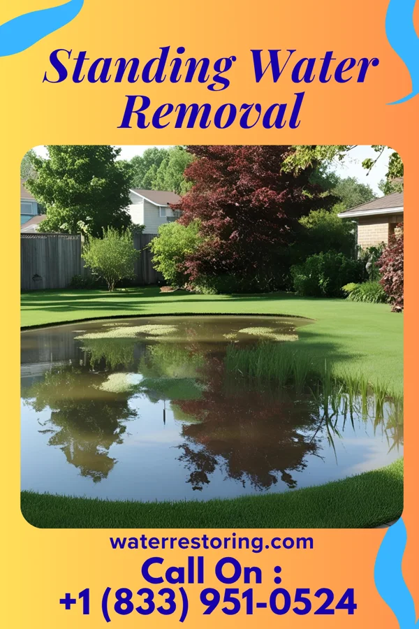 Standing Water Removal in Barrackville, WV